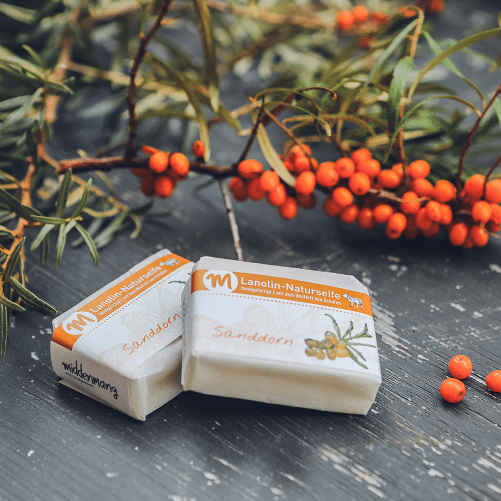 Lanolin-Naturseife mit Sanddorn-Duft, mit Sanddornzweig.