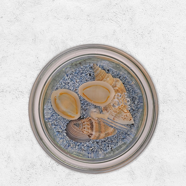 Eine Gelkerze mit Muscheln von oben.