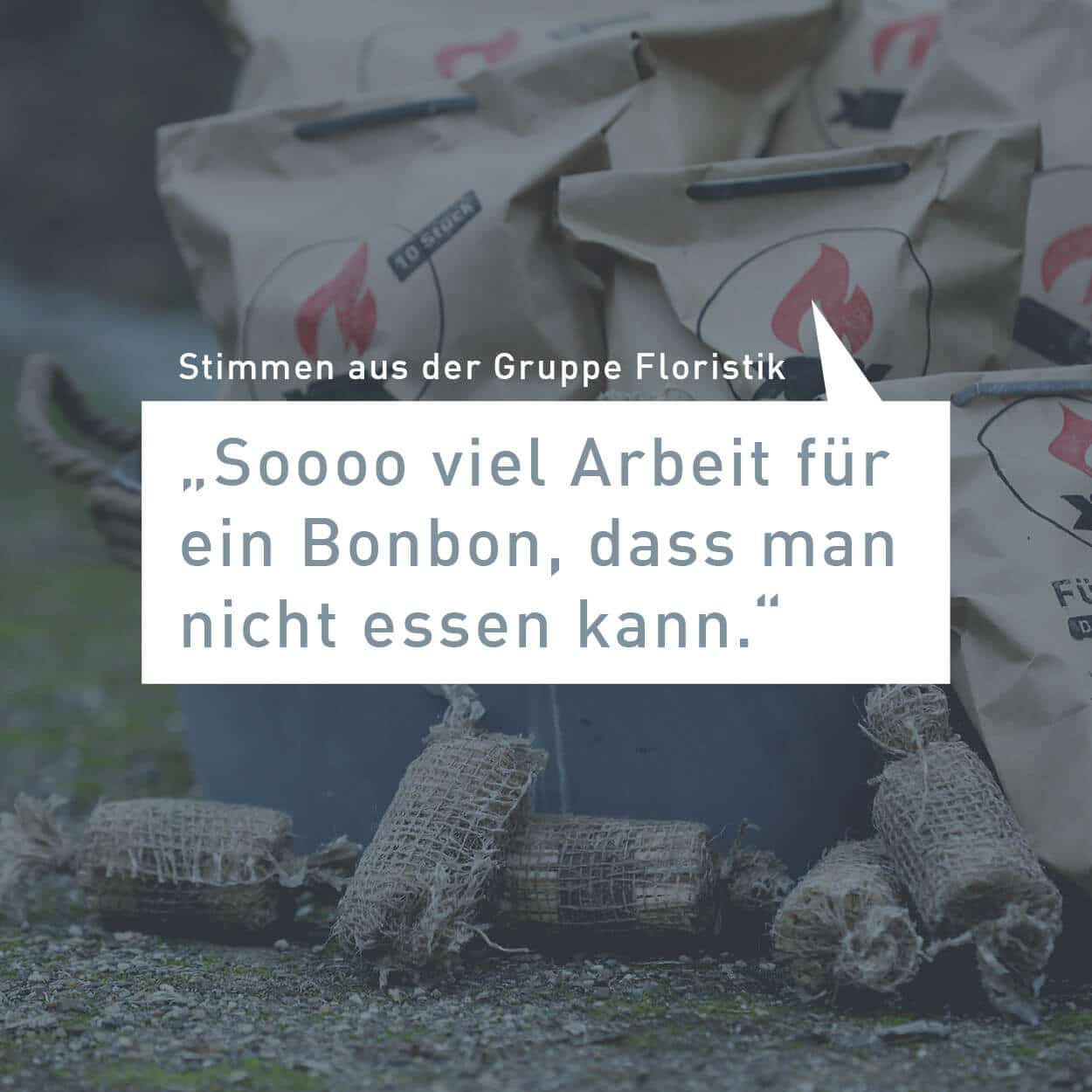 Alternative Anzünder – 10 Stück – Bild 11
