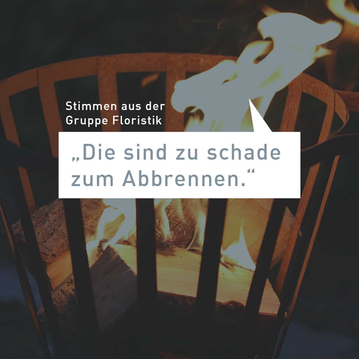 Alternative Anzünder – 10 Stück – Bild 12