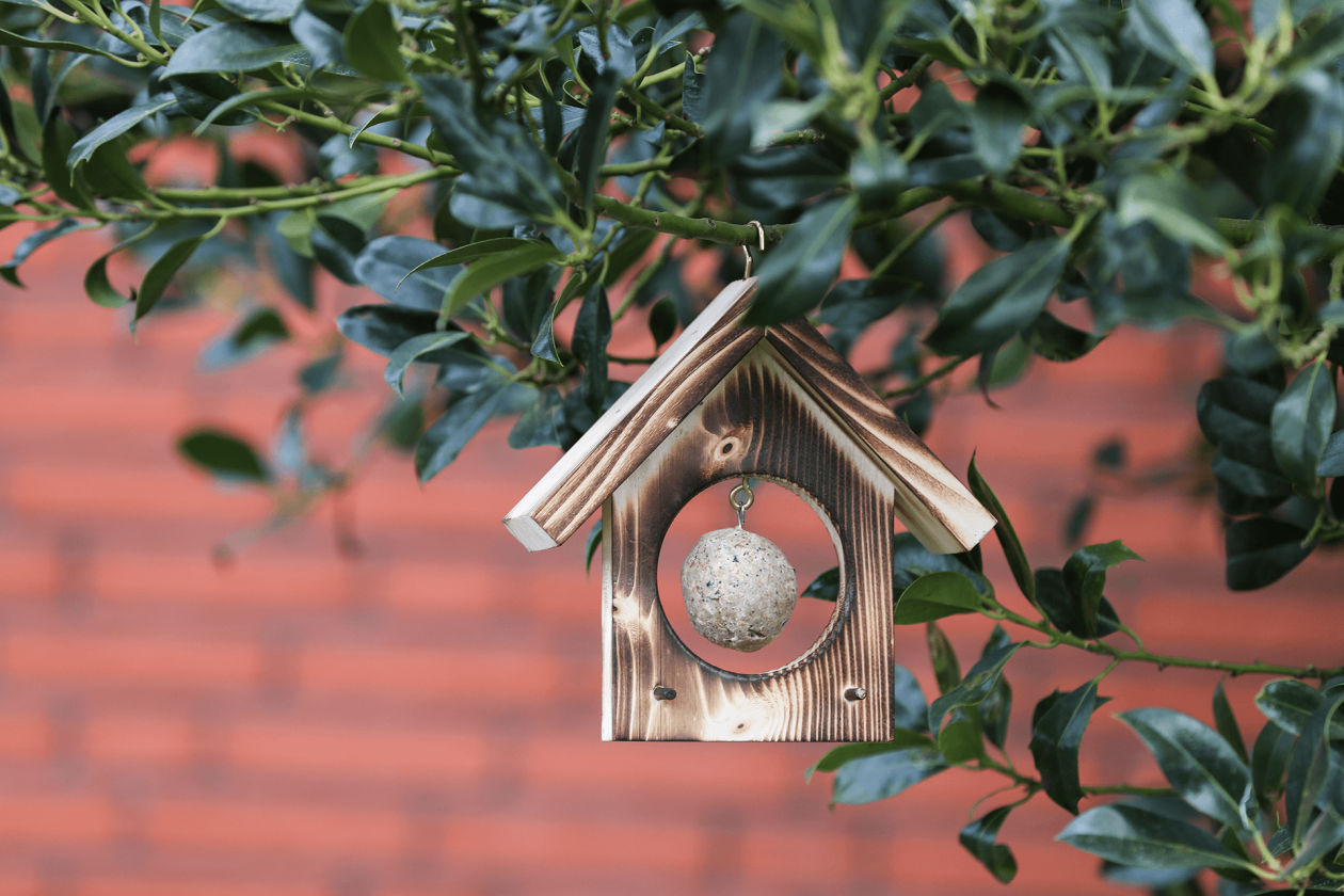 Vogelfutterhaus aus Holz hängt am Baum mit einem Meisenknödel.